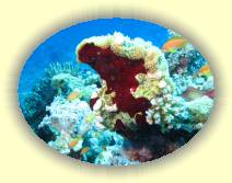 IMG_2007_05_29 14_11_19 * 3072 x 2304 * (961KB)